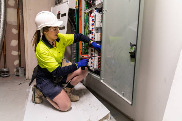 Best Home Electrical Repair  in Hector, MN