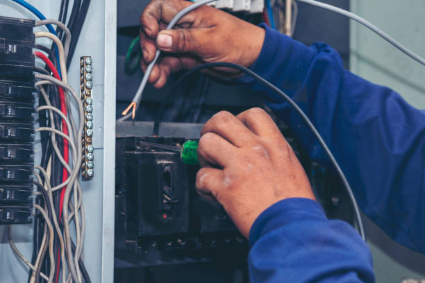 Best Electrical Upgrades for Homes  in Hector, MN
