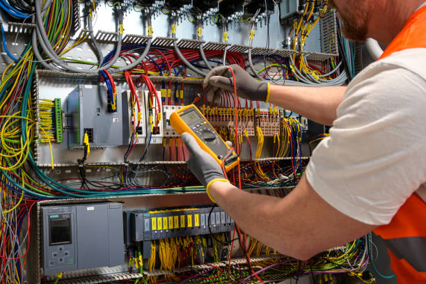 Best Electrician for Home Renovation  in Hector, MN